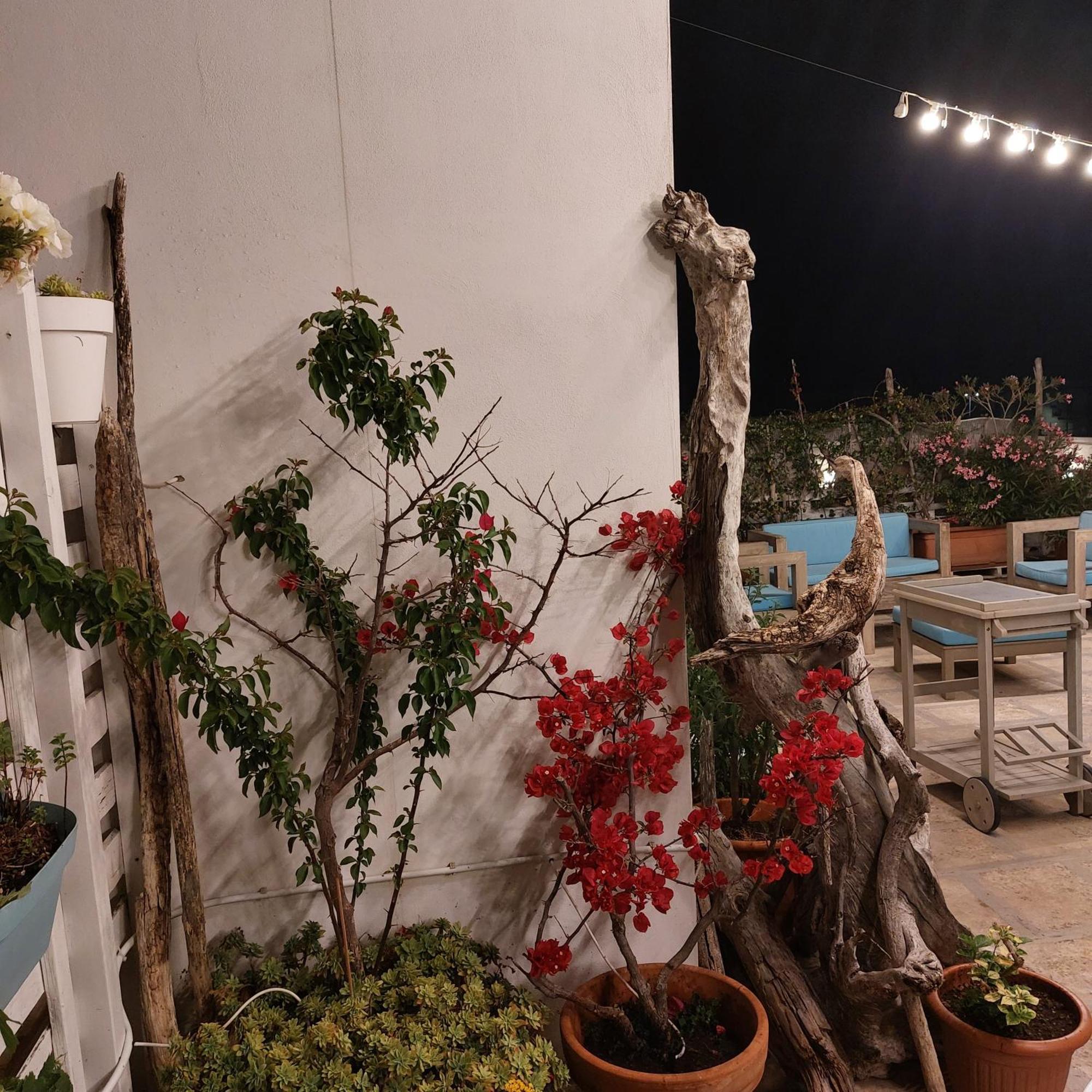Bed and Breakfast Mandorleolio Polignano a Mare Exterior foto